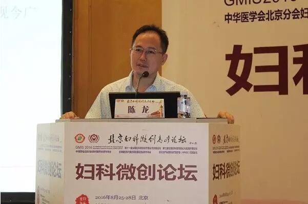 陳龍教授
