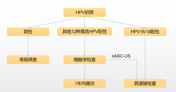 宮頸癌篩查探討